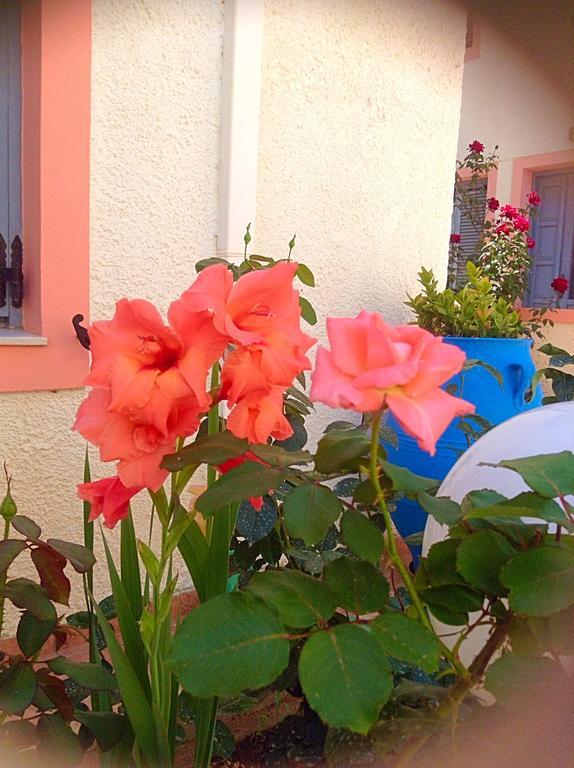 Apartment Palmira