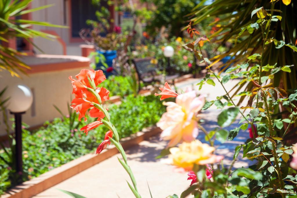 Apartamento Palmira Makrýgialos